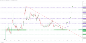CryptoMaximum Group Traders Assessed the Current Situation of the IRT Token